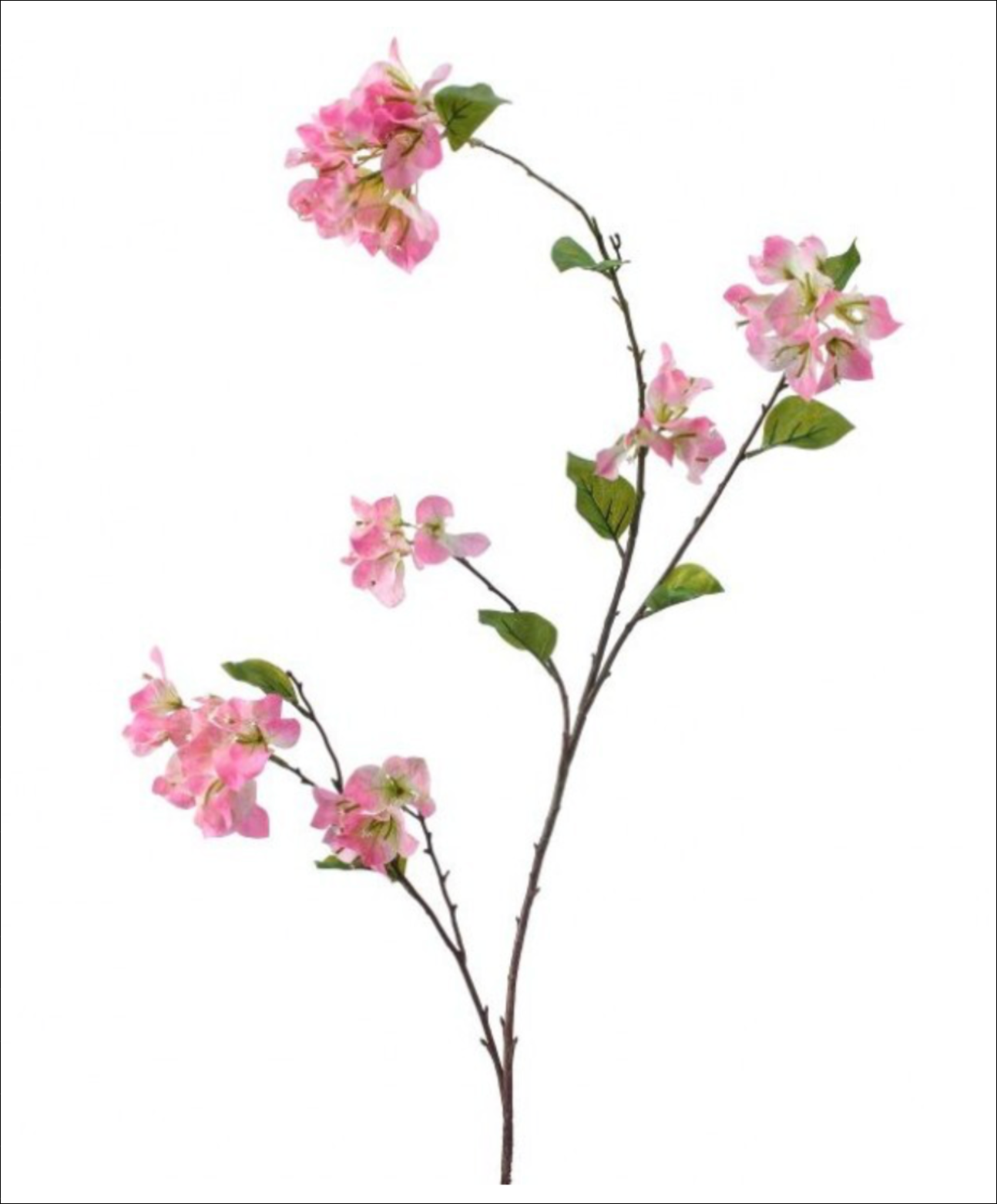 55" Bougainvillea Branch