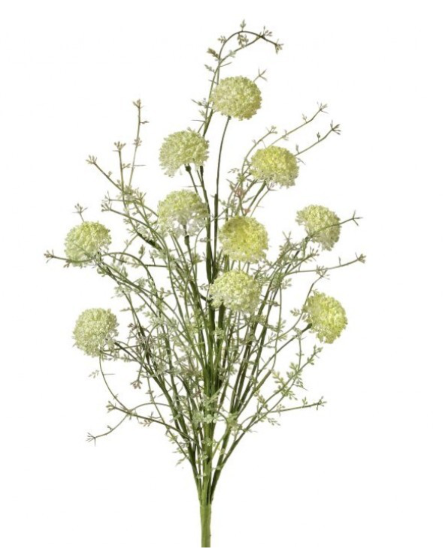 24" Wild Allium Bush