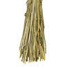 26" Dried Brown Phalaris Bunch, 7 oz