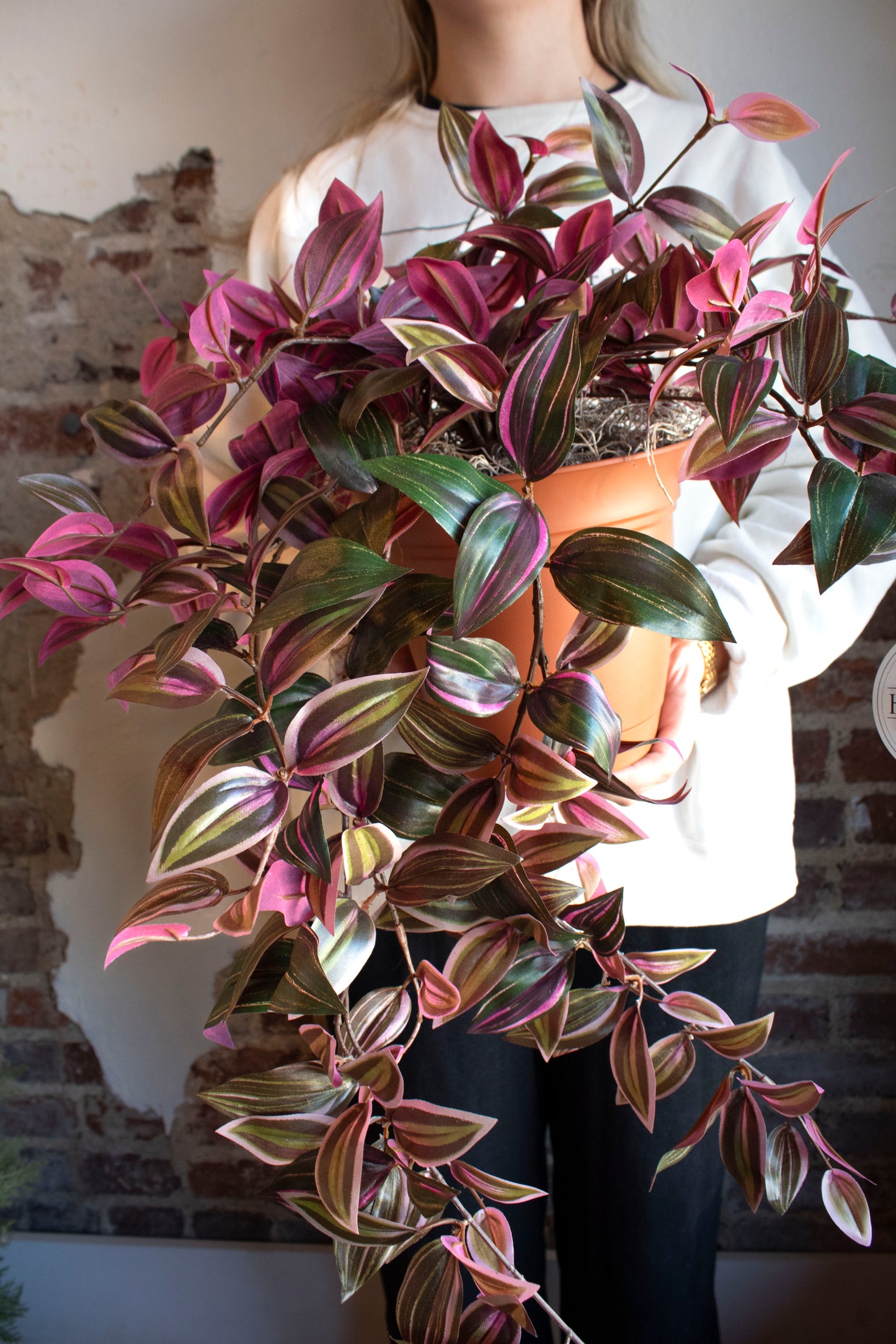 Large Potted Vine